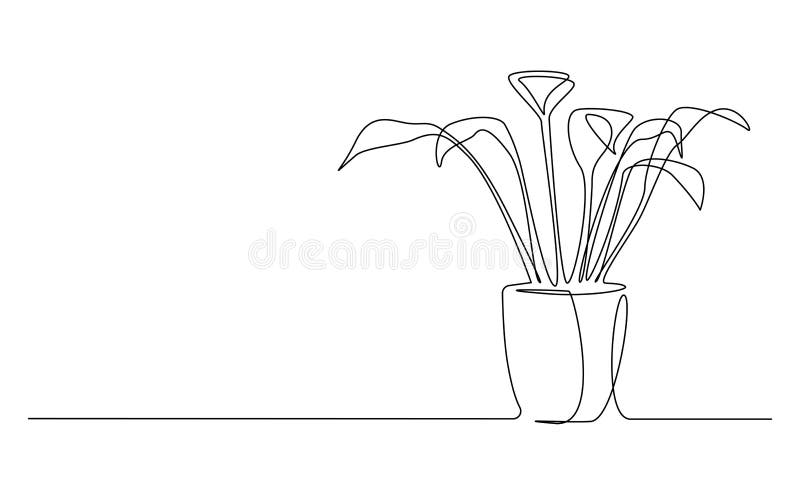 wallpapers Plant Aesthetic Simple Flower Drawing dreamstime com