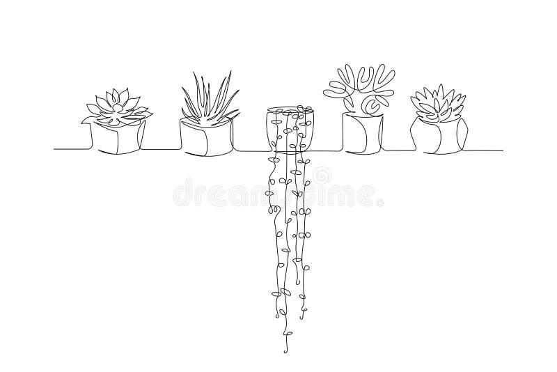 House Plants Pots One Line Drawing Stock Illustrations – 6 House Plants