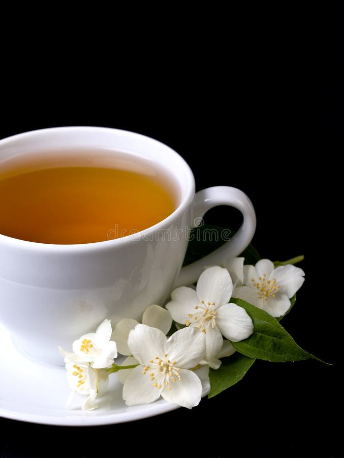 One cup of jasmine tea stock photo. Image of plant, refreshment 48912110