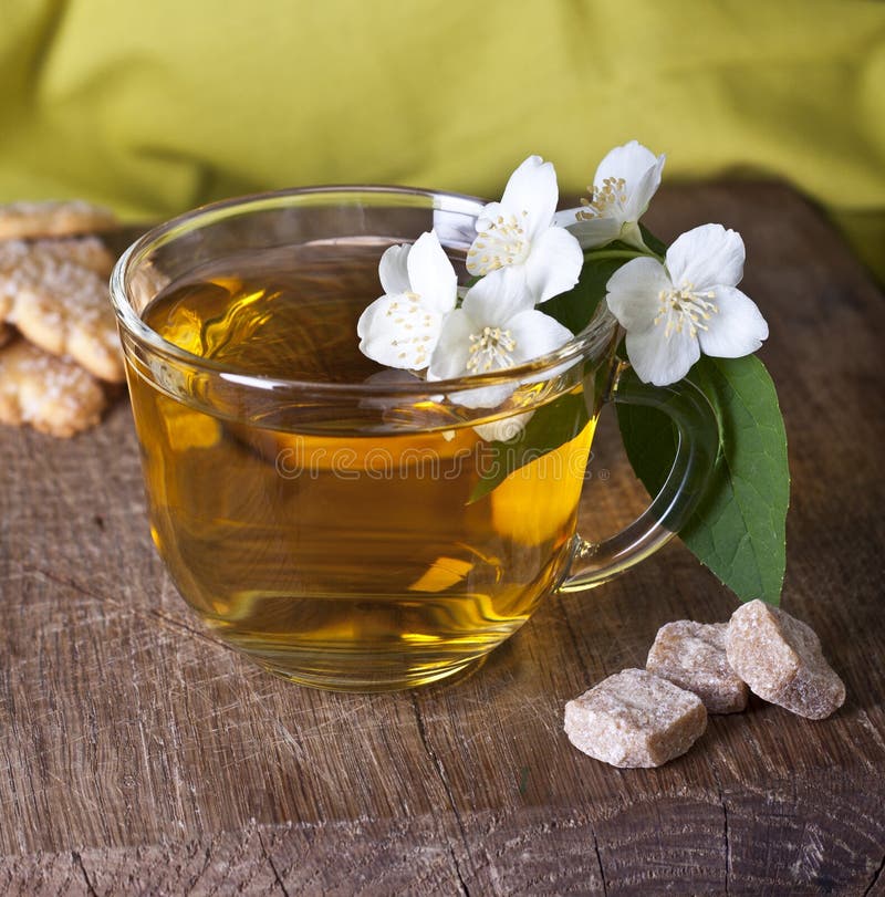 One cup of jasmine tea stock photo. Image of breakfast 48912114