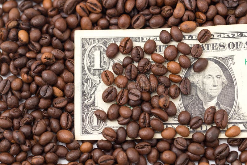 Dollar from coffee beans stock photo. Image of coffee 55713124