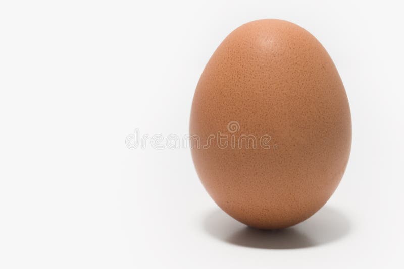 One egg on a white background, isolated with space to the left.