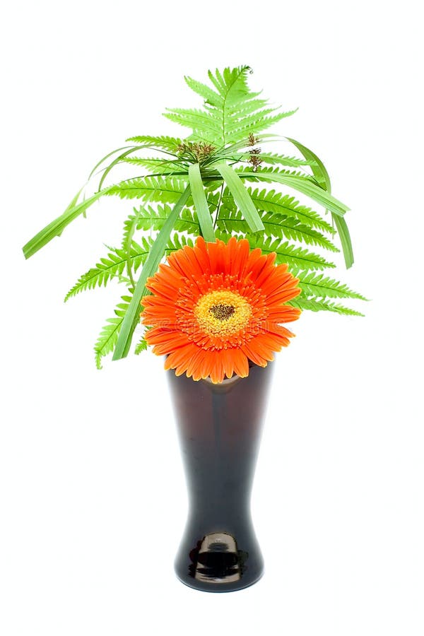 One flower and green leaf in black vase