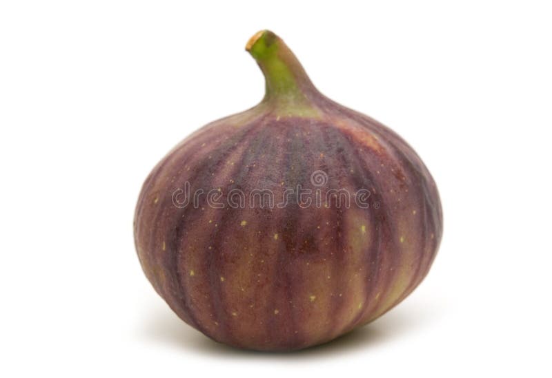 One fresh fig stock photo. Image of snack, nature, healthy 6193254