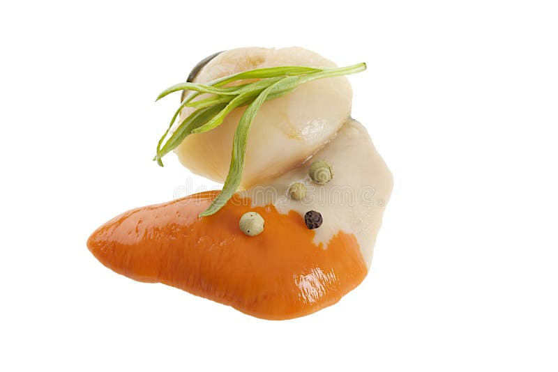 One Fresh uncooked scallop stock photo. Image of sauteed 40016944