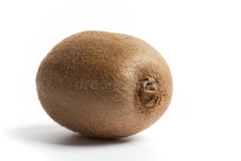 One fresh whole kiwi stock image. Image of food, studio 12170777