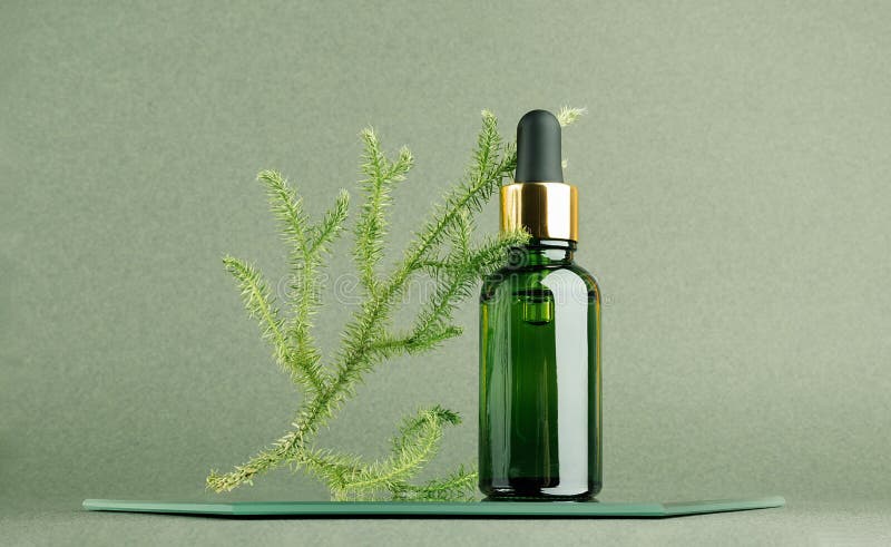One glass dropper bottle and natural branch of moss on mirror, green background. Natural Organic Spa Cosmetic concept. Front view royalty free stock image