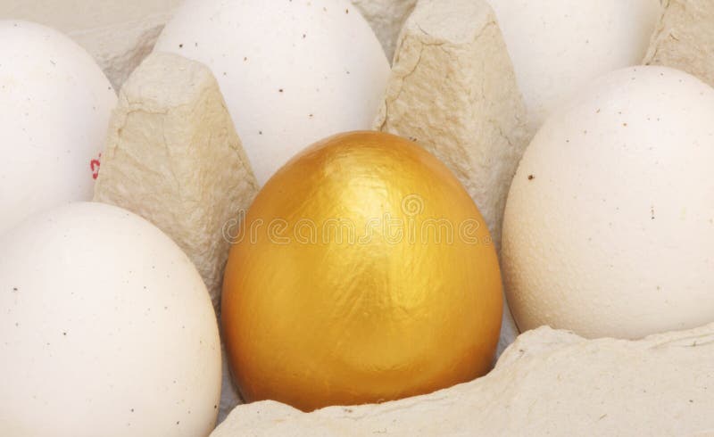 One golden egg in an egg carton