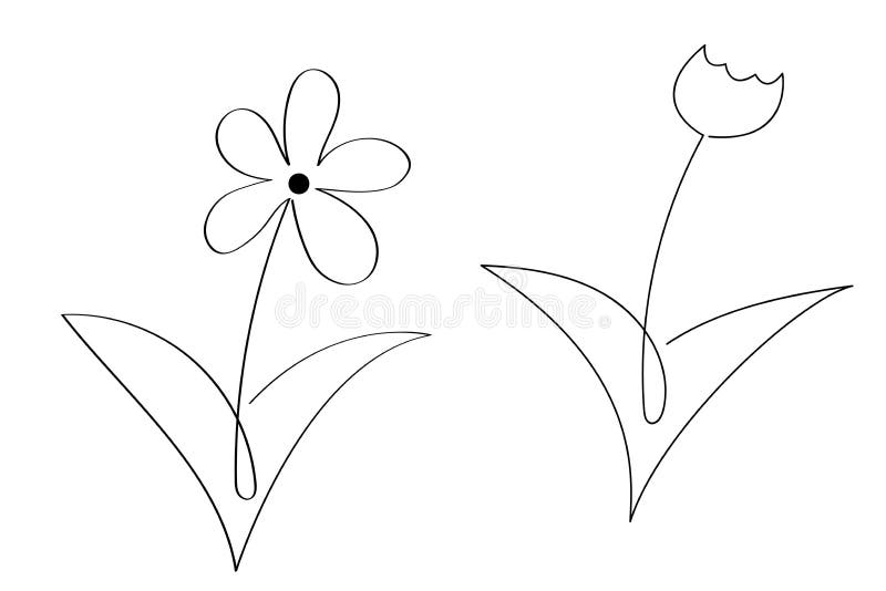 One line chamomile camomile daisy wheel tulip flower silhouette icon set. Hand drawn line art drawing. Floral design. Minimalism.