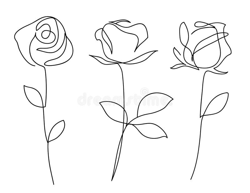 One Line Drawing. Garden Rose with Leaves. Hand Drawn Sketch. Vector ...