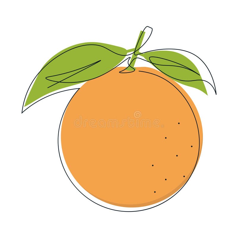 Continuous single line drawing of citrus fruit with orange color royalty free illustration