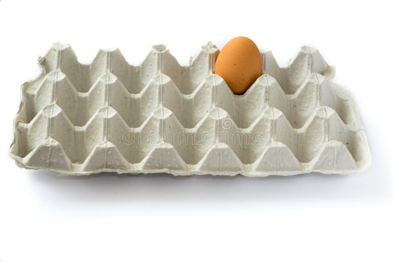 one-lonely-egg-gray-carton-tray-isolated