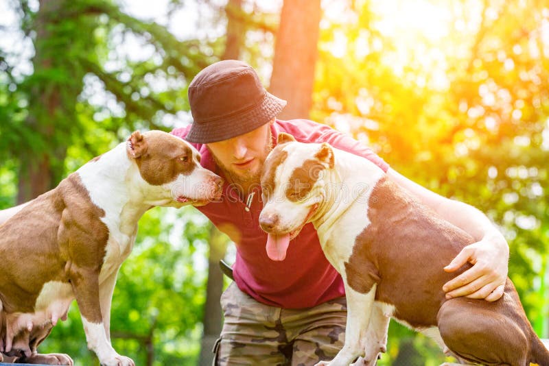 How Do You Bond With Two Dogs