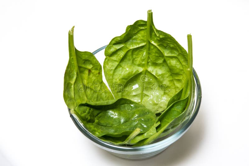 One Measured Cup of Baby Spinach Stock Image Image of cook, leaves