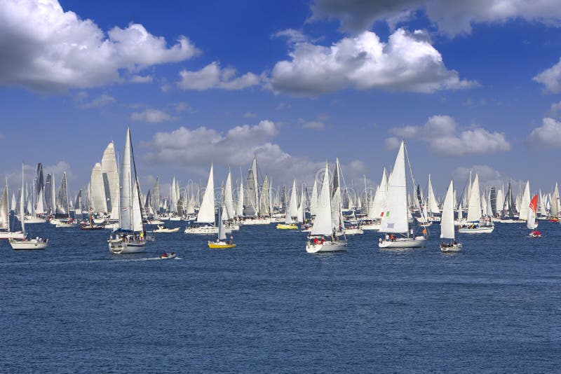 biggest sailboat race