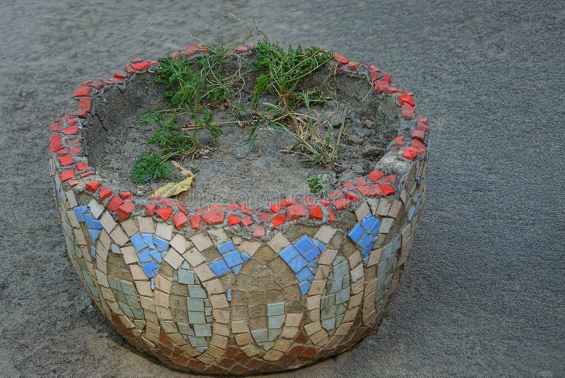 One Old Dirty Flowerbed with Green Grass Stock Photo Image of