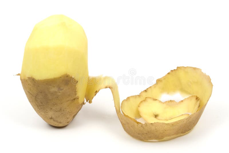 One peeled potato stock photo. Image of food, isolated 4975192
