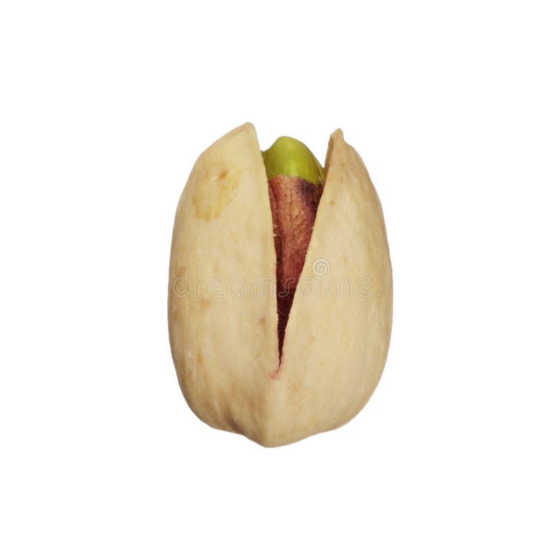 One pistachio nut