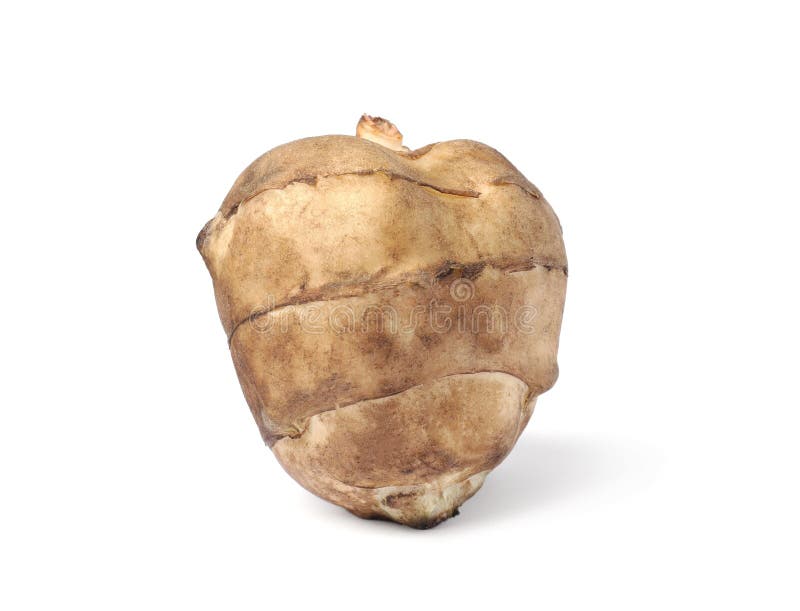 One Raw Jerusalem Artichoke Isolated on White Stock Photo Image of
