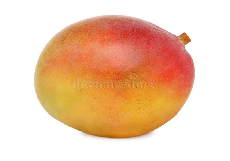 One ripe mango () royalty free stock images One ripe mango () royalty free stock images