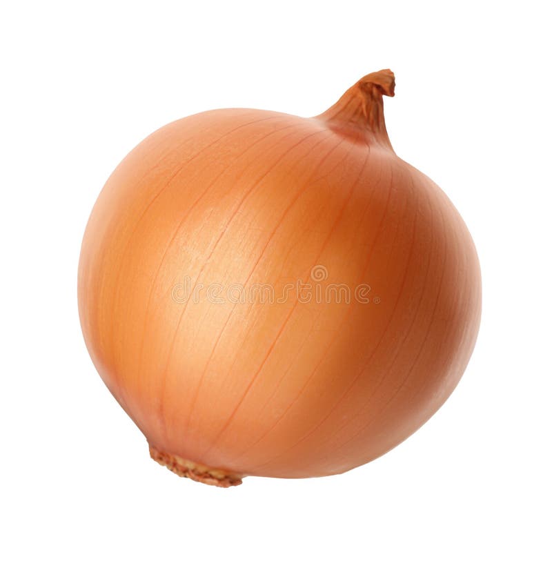 One Ripe Onion Bulb Isolated on White Stock Photo Image of culinary