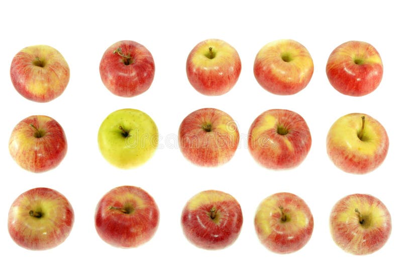 One Ripe Yellow Apple with Red Apples Stock Photo Image of colorful