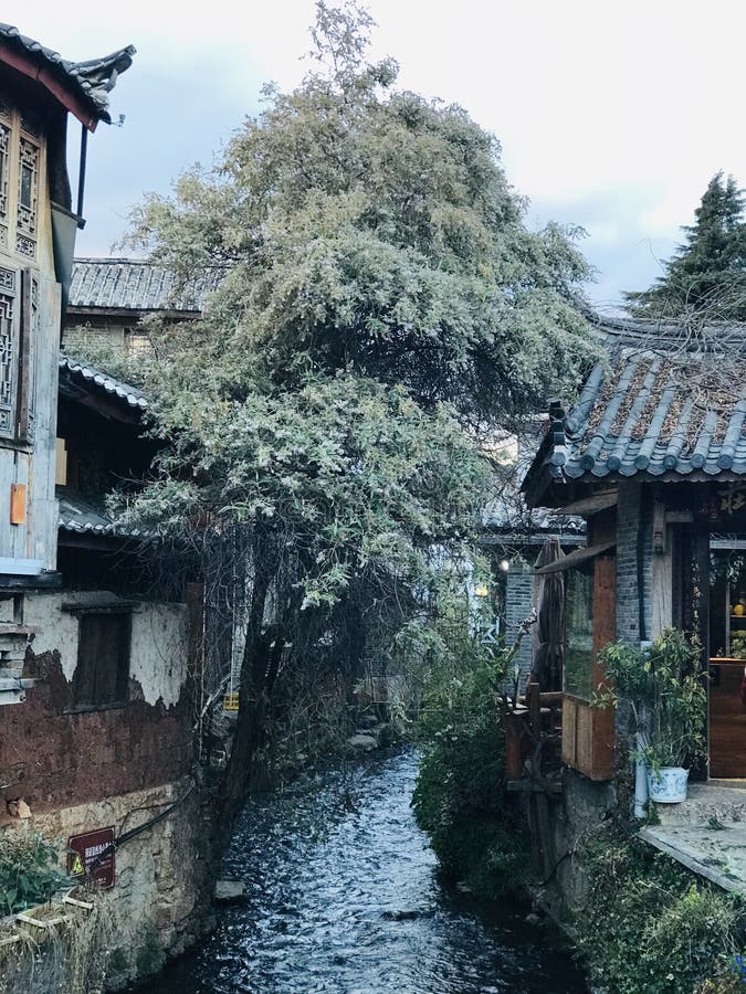One river in Lijiang royalty free stock photography One river in Lijiang royalty free stock photography