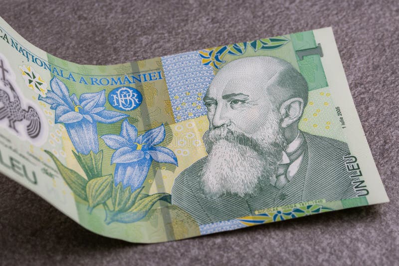 One Romanian leu bank note on grey background. Lei is the national currency of Romania. horizontal photo. wallpaper