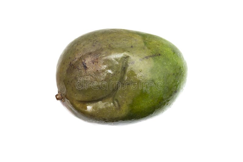 Rotten Mango On White Background Stock Photo 1460642162