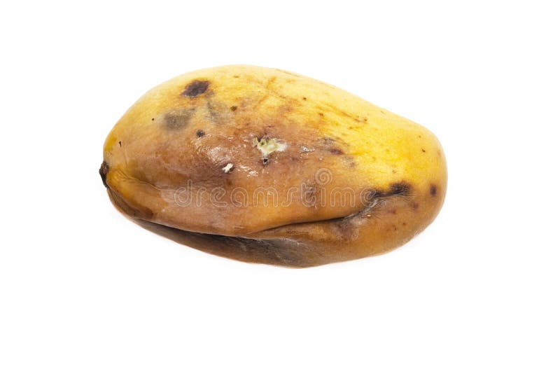 Rotten Complete Mango Stock Photo - Download Image Now - Mango Fruit, Old,  Rotting - iStock
