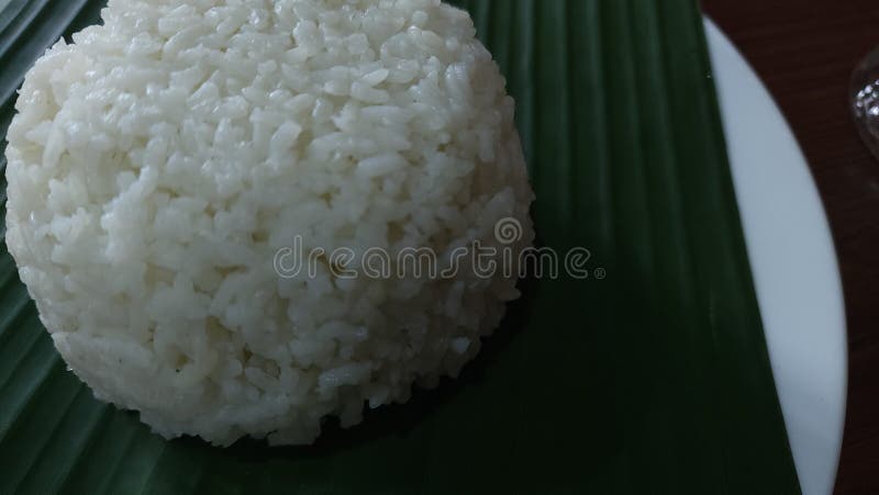 One serving of cooked white rice as a staple food