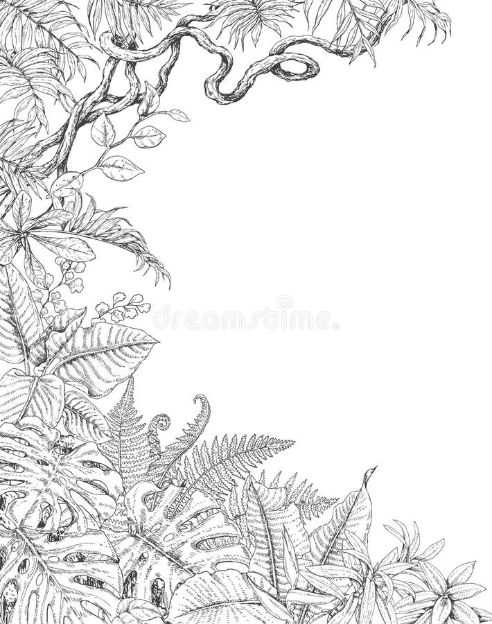 One Sided Background with Tropical Plants royalty free illustration One Sided Background with Tropical Plants royalty free illustration
