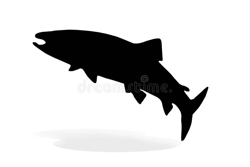 One Silhouette Of Salmon On A White Stock Photo Image 8288860