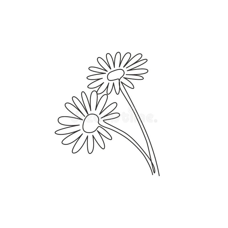 Daisy flower modern line art t-shirt