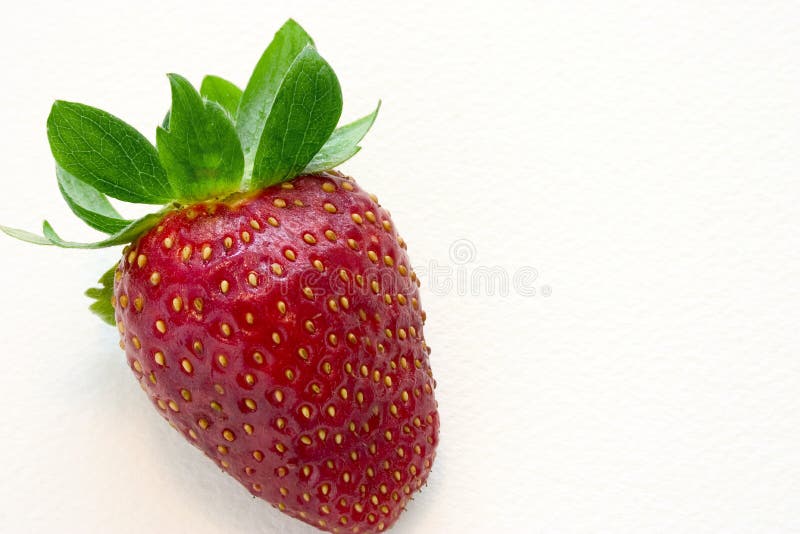 One strawberry stock photos One strawberry stock photos