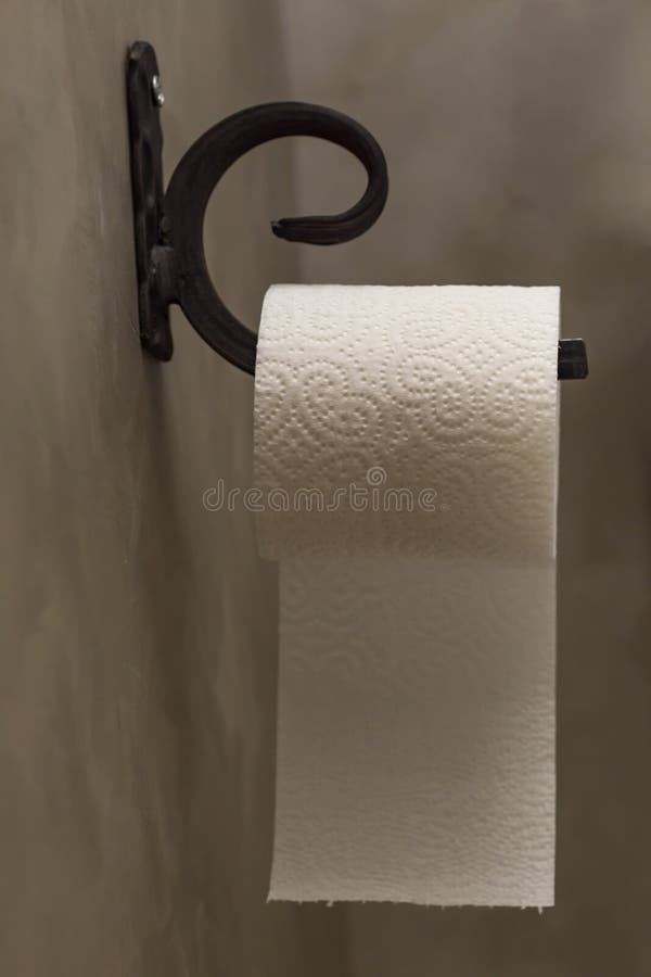 Toilet paper stock photo. Image of white, pattern, steel 19537998