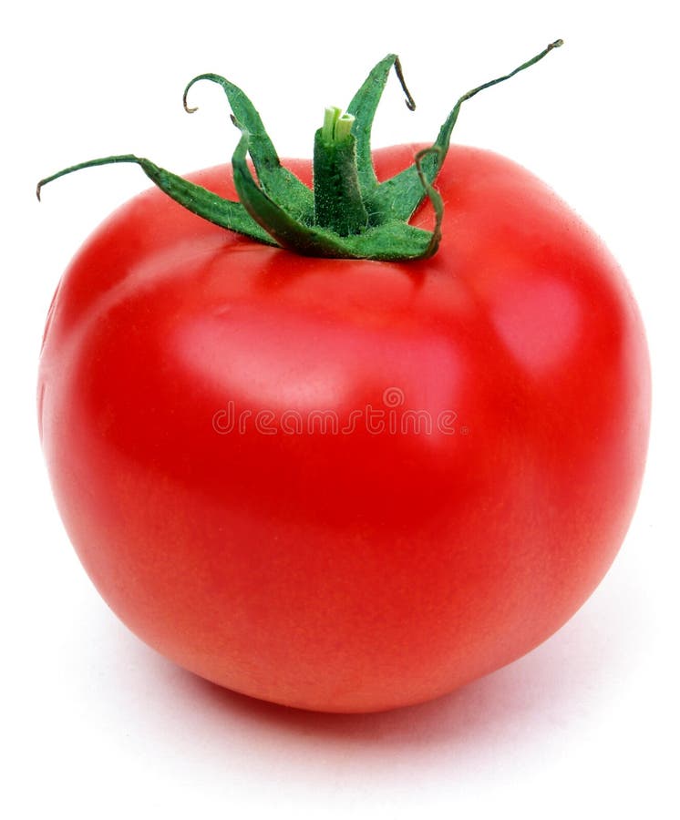 Jedno rajče izolovaných na bílém pozadí.