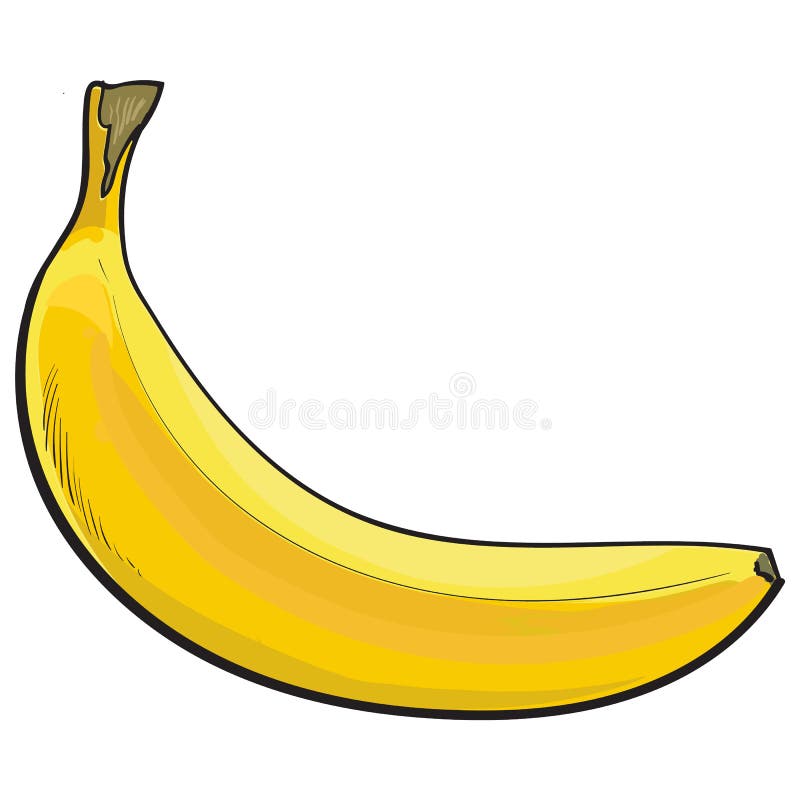 Sketch banana fruit vector.のイラスト素材 [29528695] - PIXTA