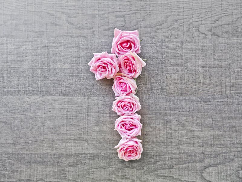 Number 24 Vintage Number Pink Roses Stock Photo 1147096628