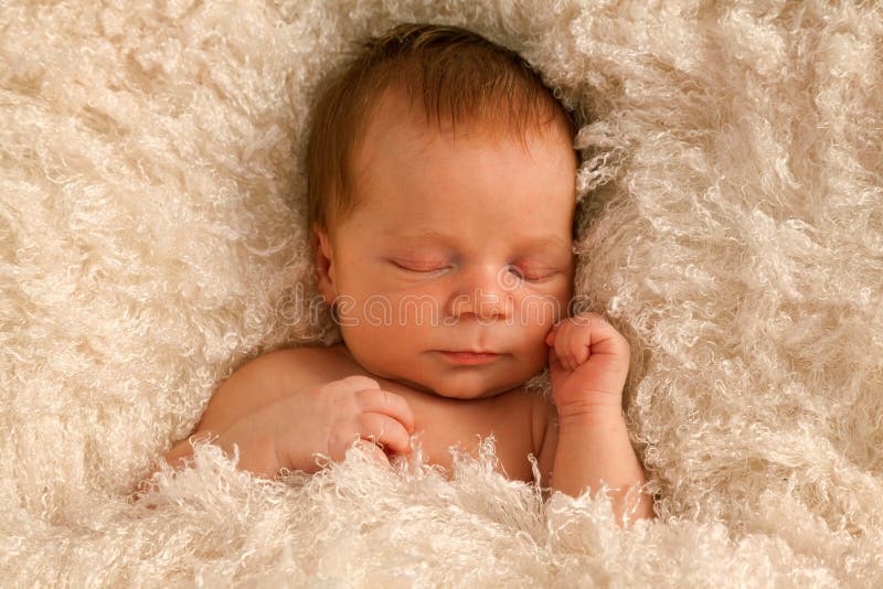 One Week Old Baby On White Blanket Stock Image Image Of Male Hands