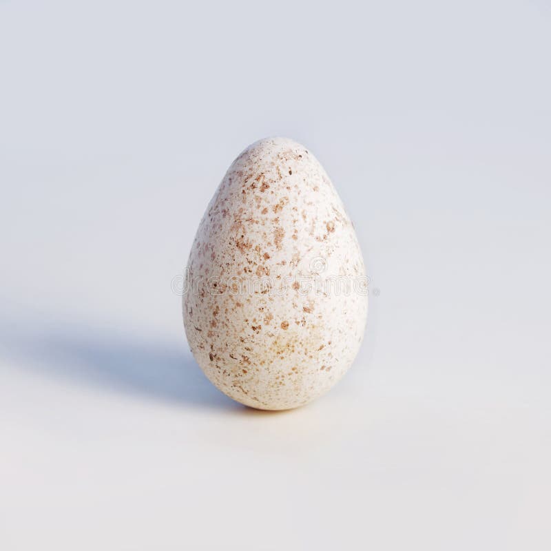 One White Spotted Turkey Egg Stock Image Image of food, standing 92796435