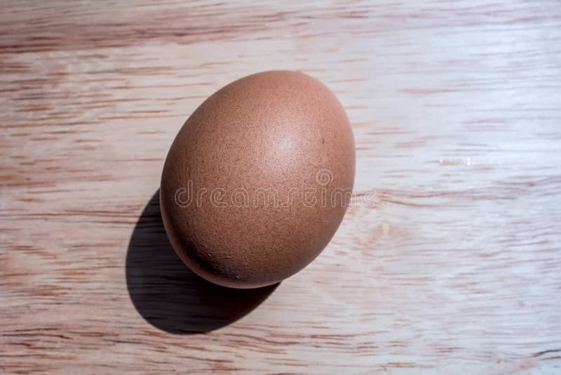 One Whole Brown Chicken or Animal Egg Stock Photo - Image of real, bird:  227596766