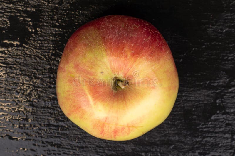 Red Jonagold Apple on Grey Stone Stock Image Image of elliptical