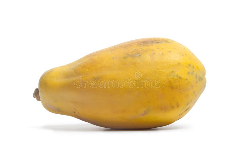 1,432 Single Papaya Stock Photos - Free & Royalty-Free Stock Photos from Dreamstime 1,432 Single Papaya Stock Photos - Free & Royalty-Free Stock Photos from Dreamstime