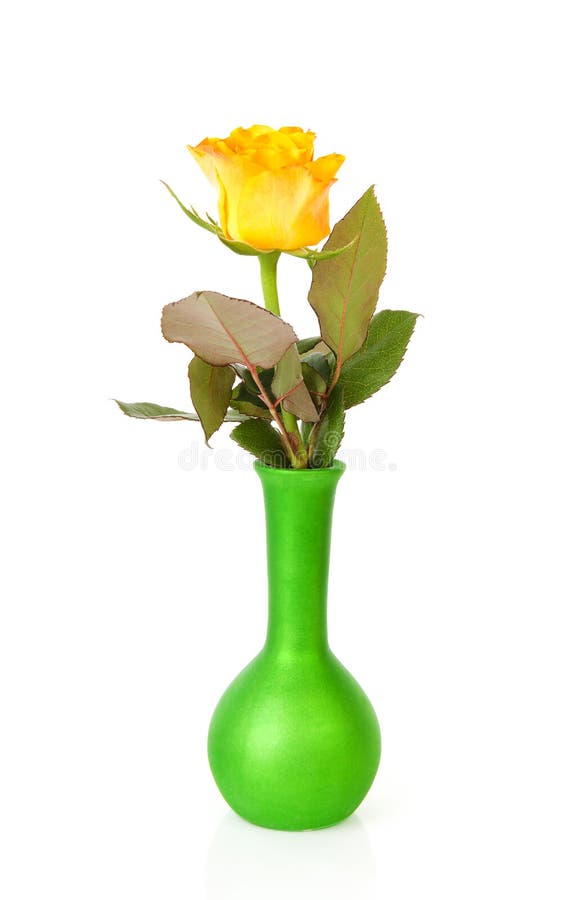 One Yellow Rose In Green Vase Stock Photo Image 21923738