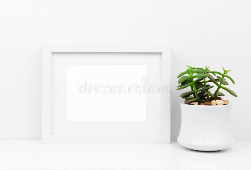 Onecht omhoog wit kader en succulente installatie tegen witte muur op plank