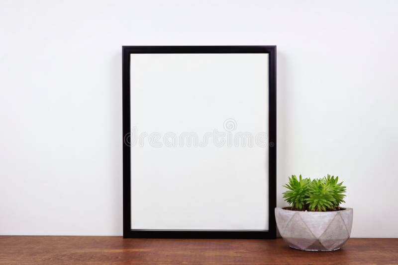 Onecht omhoog zwart kader tegen witte muur met succulente installatie op een houten plank royalty-vrije stock afbeelding Onecht omhoog zwart kader tegen witte muur met succulente installatie op een houten plank royalty-vrije stock afbeelding