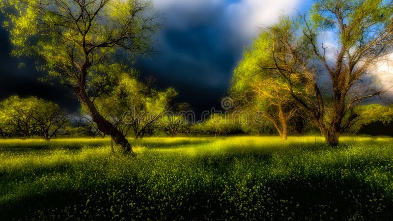 Onheilspellende Wolken over Texas Hill Country royalty-vrije stock fotografie Onheilspellende Wolken over Texas Hill Country royalty-vrije stock fotografie
