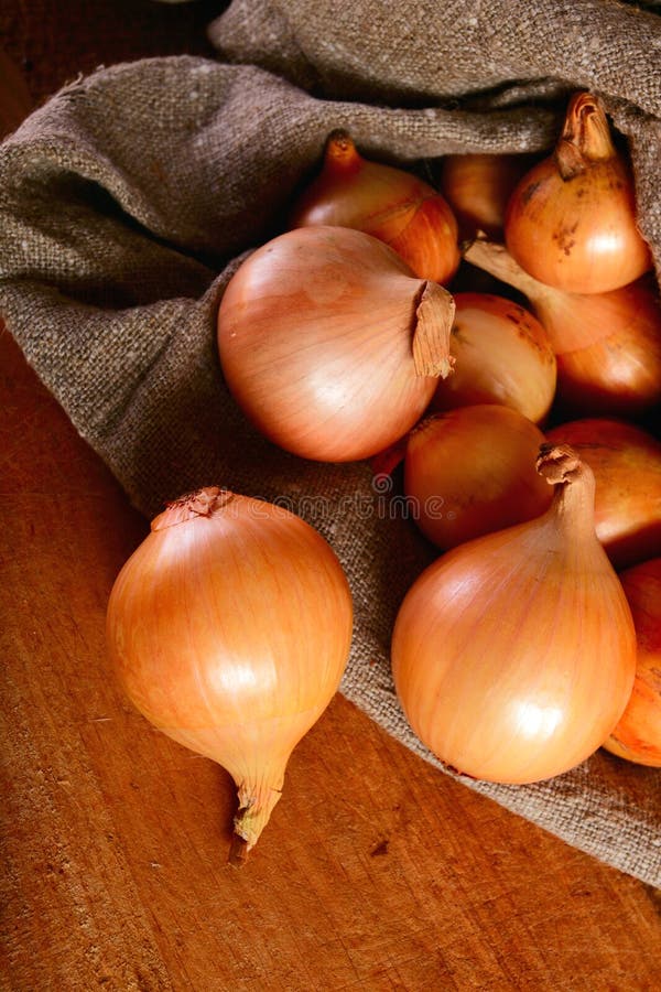 Sliced red onion stock image. Image of onion, cookery - 13016443
