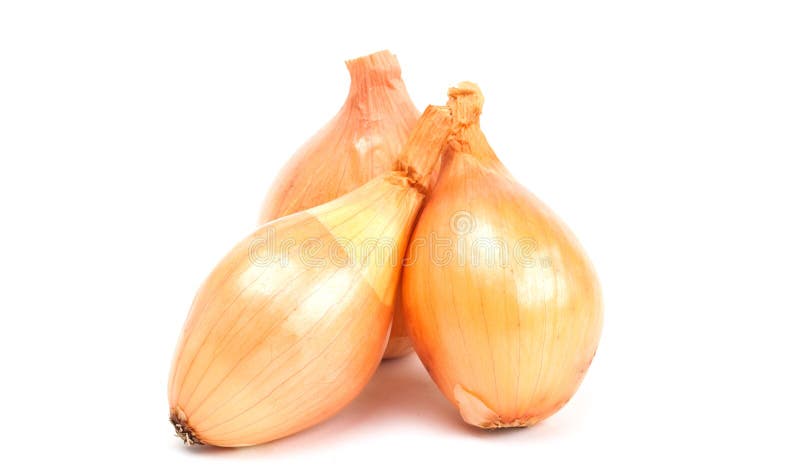 Onion